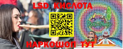 шишки Моздок