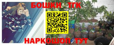 шишки Моздок